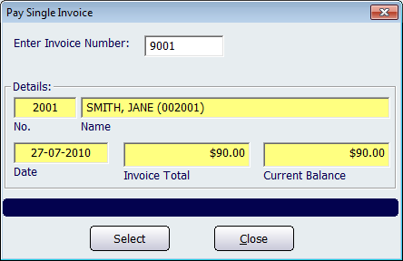 Pay Single Invoice Screen