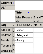 Datasheet in PivotTable view