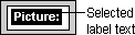 Button with label text selected