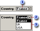 Combo box combines text box and list box functionality