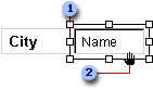 Selected control with an attached label on a data access page