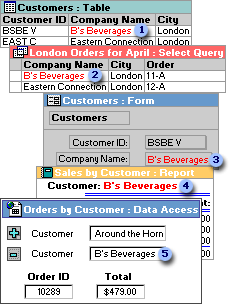A form, report, query, and data access page displaying data from the same table