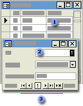 A form in Form view and Datasheet view