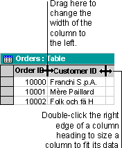 Changing the column width or sizing it to fit its data