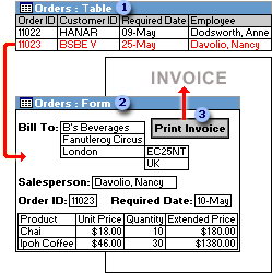 A form displaying one record of information and a Print Invoice button