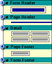 Sections of a form in Design view