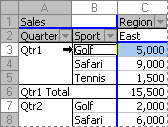Example of selecting one instance of an item in a PivotTable report