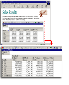 Example of a PivotTable list on a Web page