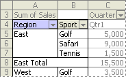 Example of an outer row field in a PivotTable report