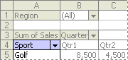 Example of a PivotTable row field