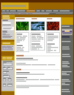 Web page created using layout tables and cells