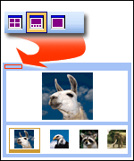 Filmstrip view