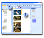 Views toolbar and preview pane
