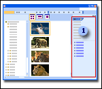 Editing task pane