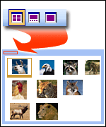 Thumbnail view