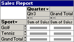 Example of a PivotTable list