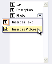 Click Insert as Text or Insert as Picture.