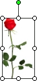 Object