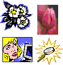 Examples of clip art and imported pictures