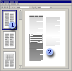 Thumbnail pane (left) and page pane (right)
