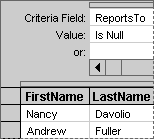 Criteria that uses the Is Null operator