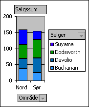 Pivotdiagramrapport som viser salg for hver selger per region
