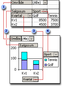 Samsvarende felt i pivottabell- og pivotdiagramrapporter