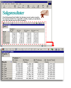 Eksempel på en pivottabelliste på en webside