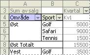 Eksempel på et ytre radfelt i en pivottabellrapport