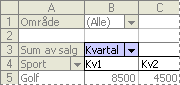 Eksempel på et kolonnefelt i pivottabeller