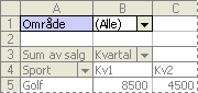 Eksempel på sidefelt i pivottabeller