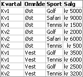 Eksempel på kildedata i pivottabeller