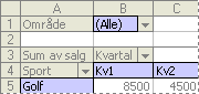 Eksempler på pivottabellelementer
