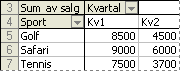 Eksempel på en pivottabellrapport i klassisk format