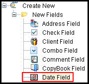 Date field