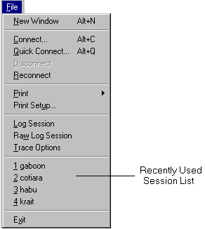 File Menu and Recently Used Session List