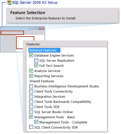 SQL Server feature selection for TFS