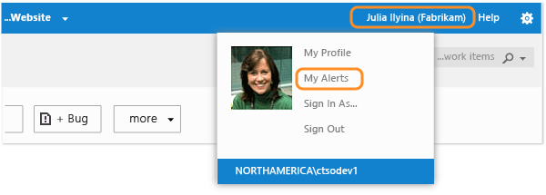 Manage individual alerts from Team Web Access