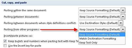 word_options.jpg