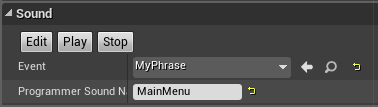 programmer_asset_name