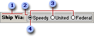 Option group