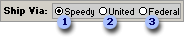 Selected option in an option group