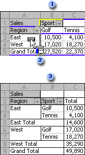 Example of changing the layout of a PivotTable report
