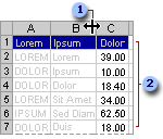 A list formatted for on-screen viewing