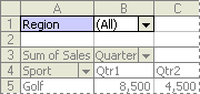 Example of a PivotTable page field