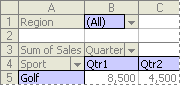 Examples of PivotTable items