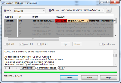 OCCT_GitGuide_V2_image025.png