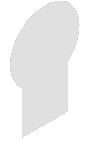 cells_algorithm_006_2.png