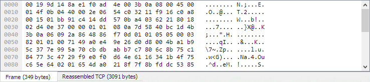wsug_graphics/ws-bytes-pane-tabs.png